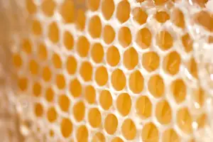 Cera de abeja natural en bloques o perlas